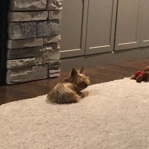 Meet your Posher, Kim